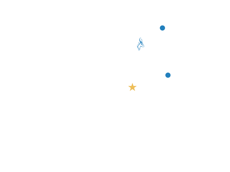 Tampa Location